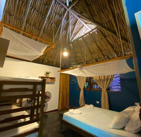 اتاق استاندارد چهار تخته, Bikini Hotel & Pool