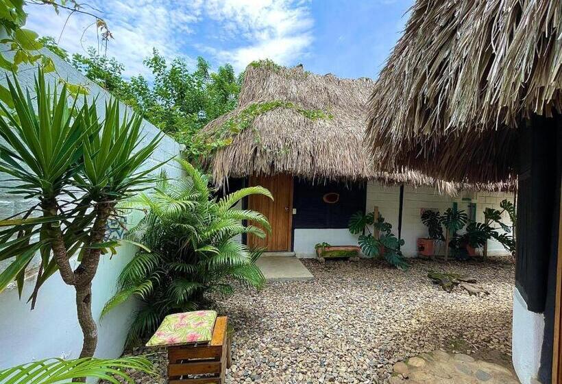 اتاق عادی, Bikini Hotel & Pool