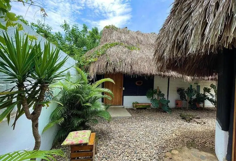 اتاق عادی, Bikini Hotel & Pool