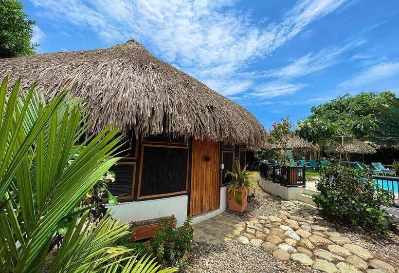 سوییت لوکس, Bikini Hotel & Pool