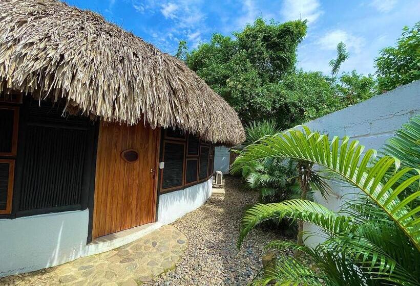 اتاق لوکس, Bikini Hotel & Pool