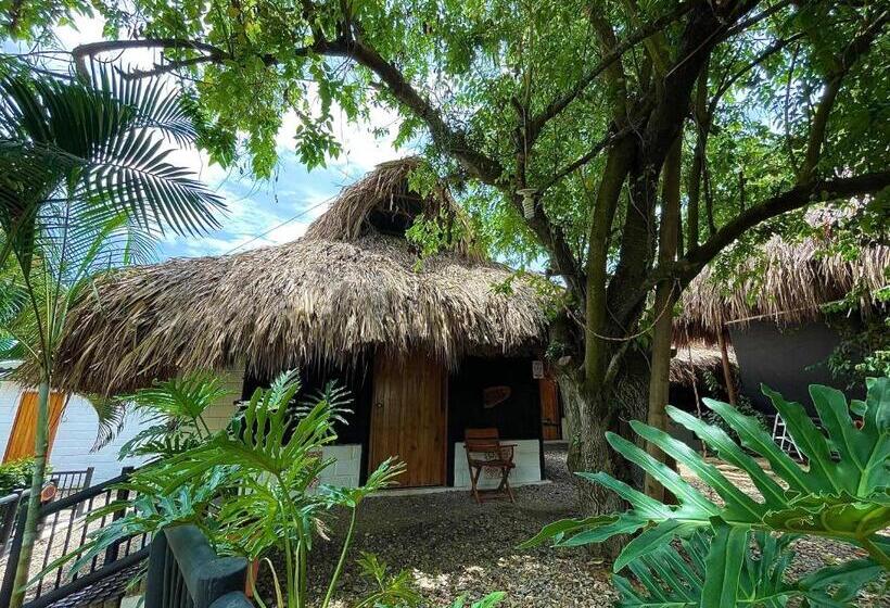 اتاق استاندارد, Bikini Hotel & Pool