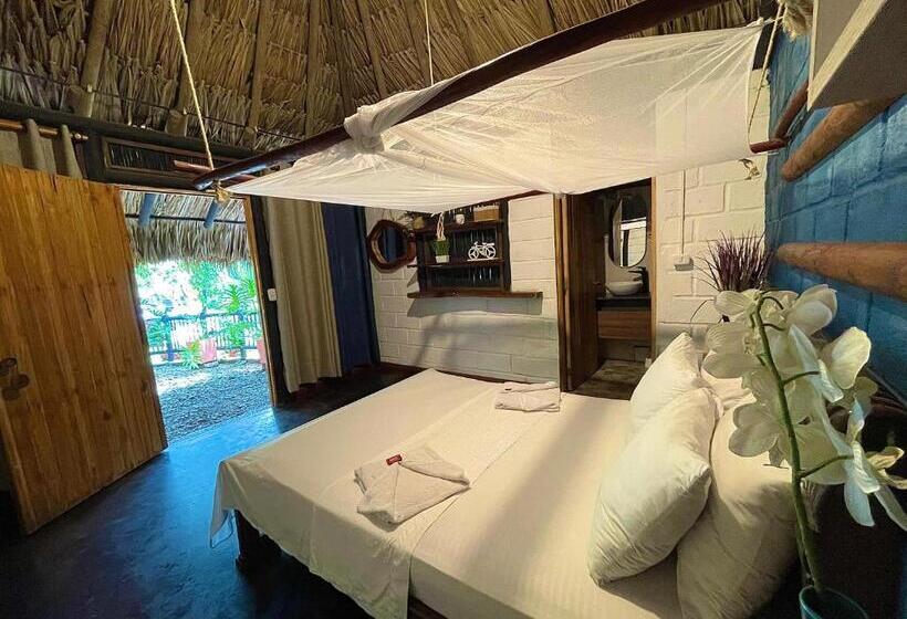 اتاق استاندارد, Bikini Hotel & Pool