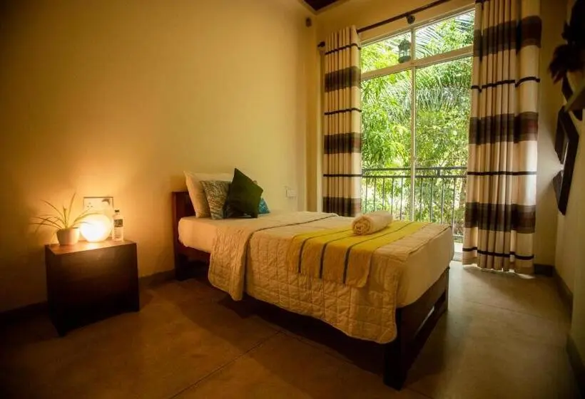 スタンダードシングルルーム, Evergreen Hotel Dambulla