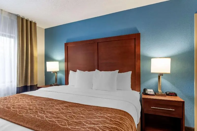 デラックスルーム, Ramada Jinan