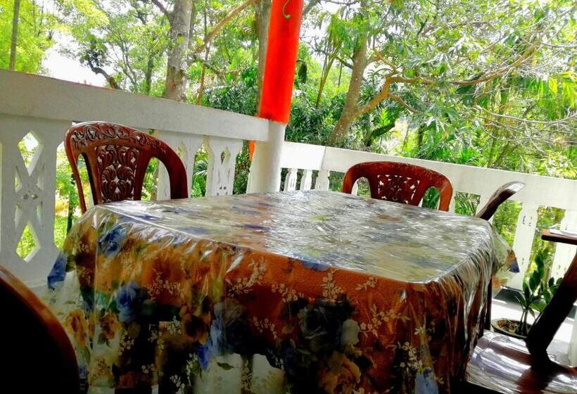 디럭스 패밀리 룸, Ella Sunrise