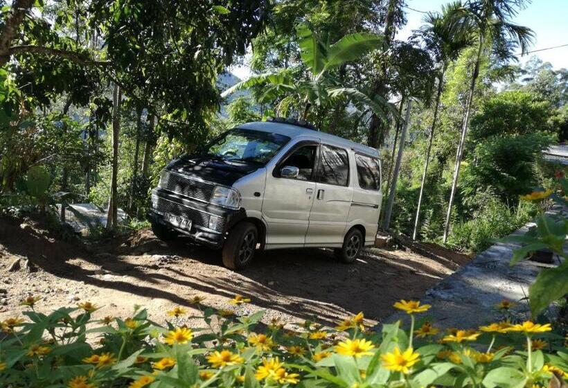 디럭스 룸 산전망, Ella Sunrise