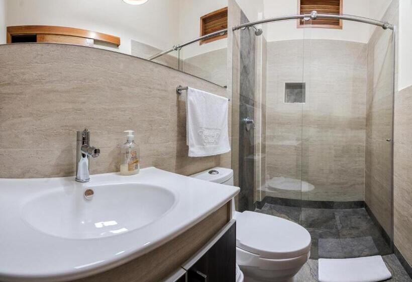 اتاق سوپریور, Valdivia Plaza