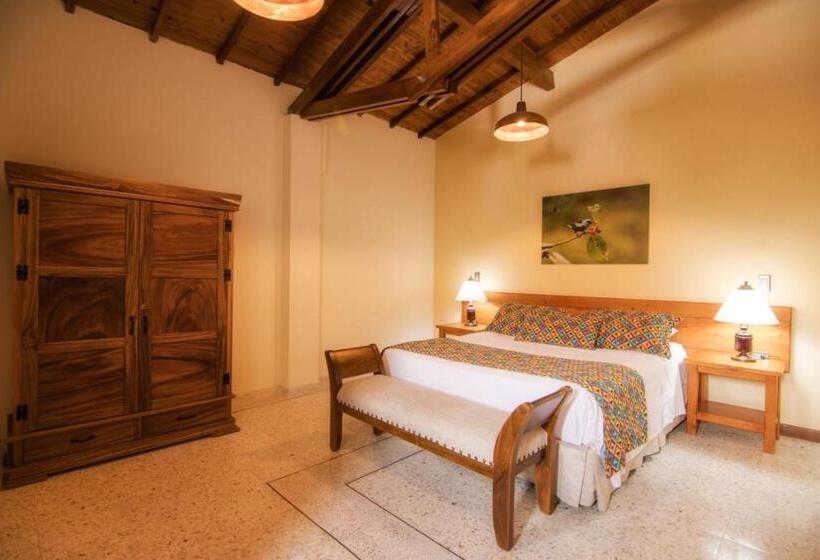 اتاق سوپریور, Valdivia Plaza