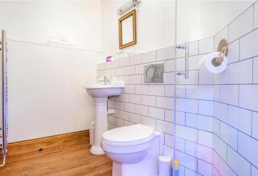 Pokój Standard Łóżko King Size, Gwynfryn