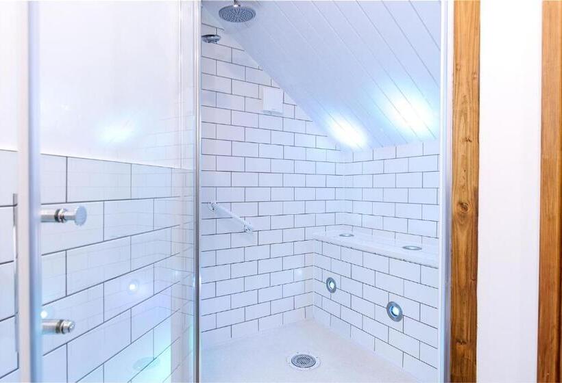 Pokój Standard Łóżko King Size, Gwynfryn