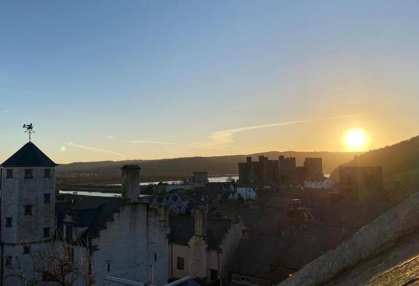 Pokój Superior Łóżko King Size, Gwynfryn