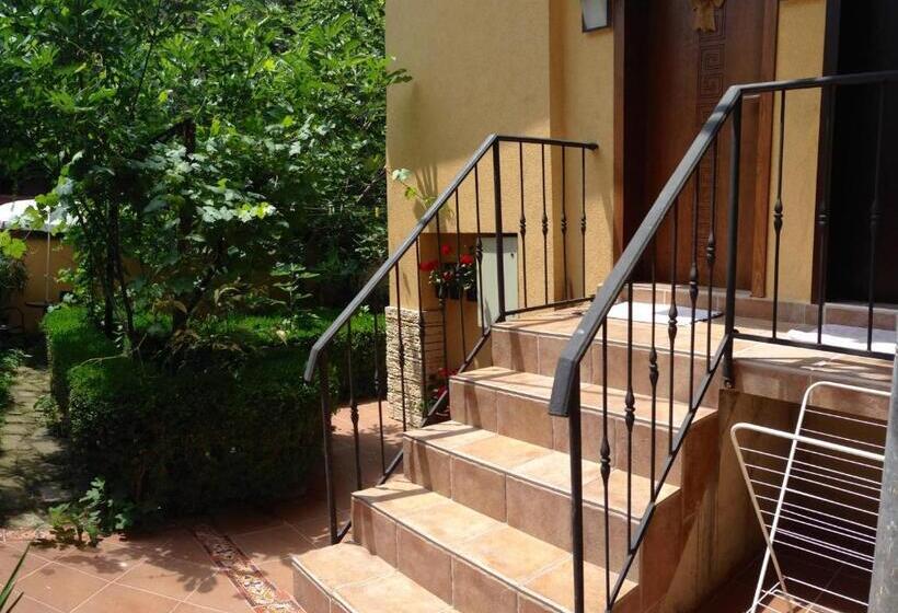 스탠다드 스튜디오, Guest Rooms Boutique Varna