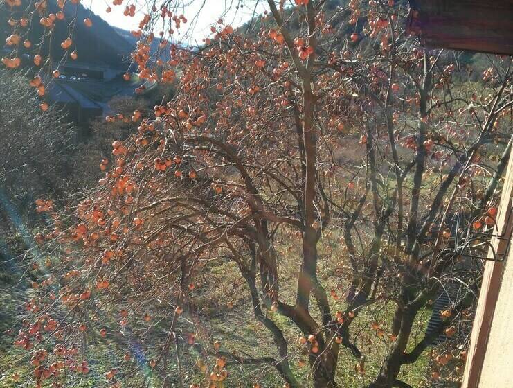 חדר סטנדרט נוף להרים, Masia D'en Valentí