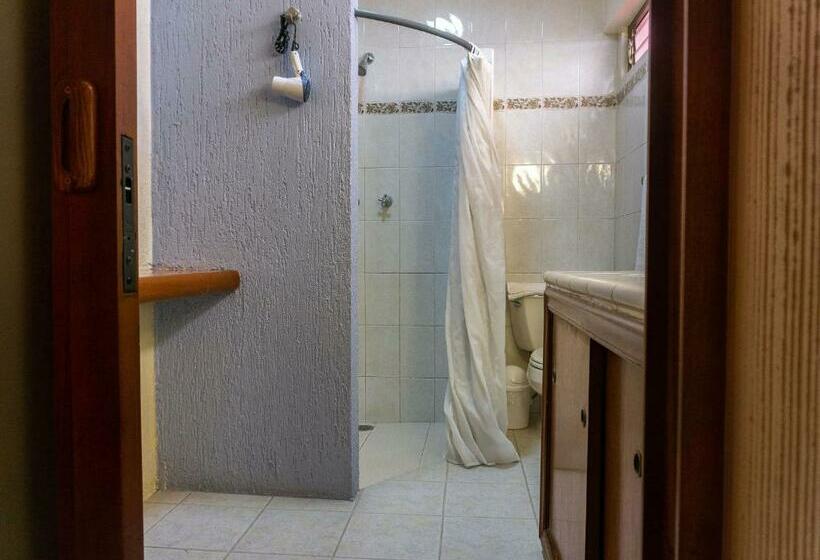 Студия Стандарт, Casa Pereyra