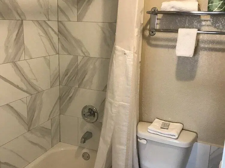 اتاق استاندارد با 2 تخت دوبل, Hometown Inn & Suites