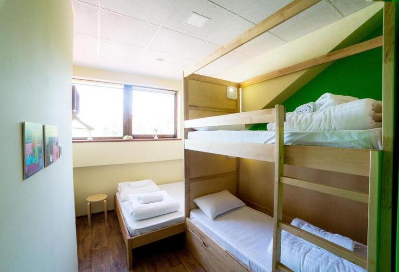 اتاق خانوادگی با سرویس بهداشتی مشترک, Dream Hostel Poltava