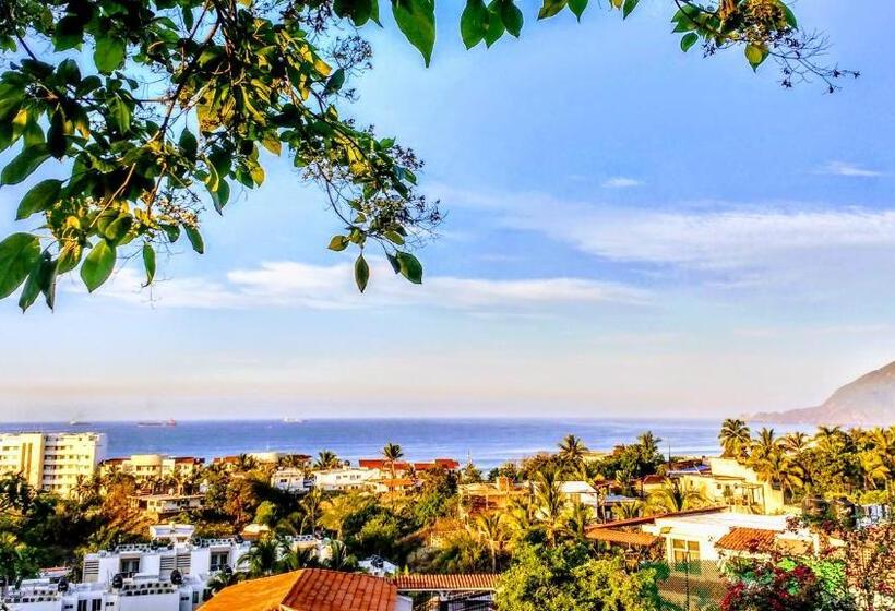 스탠다드 발코니 스튜디오, Casa Artista