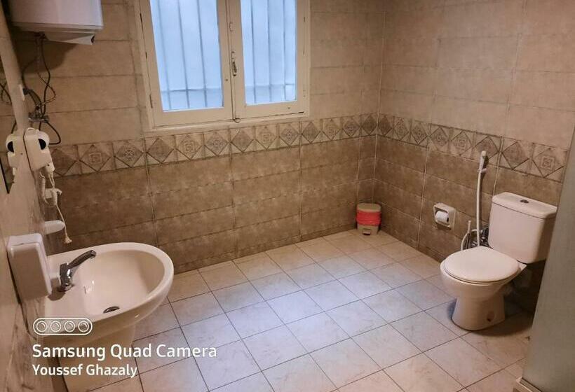 اتاق استاندارد, Nitocrisse