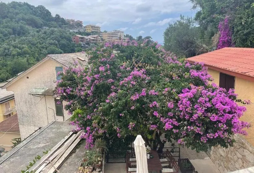 اتاق استاندارد, Ca' Di Bianca