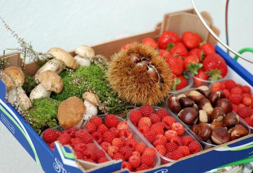 Четырехместный Номер Стандарт, Bed And Breakfast Ca D'pandin