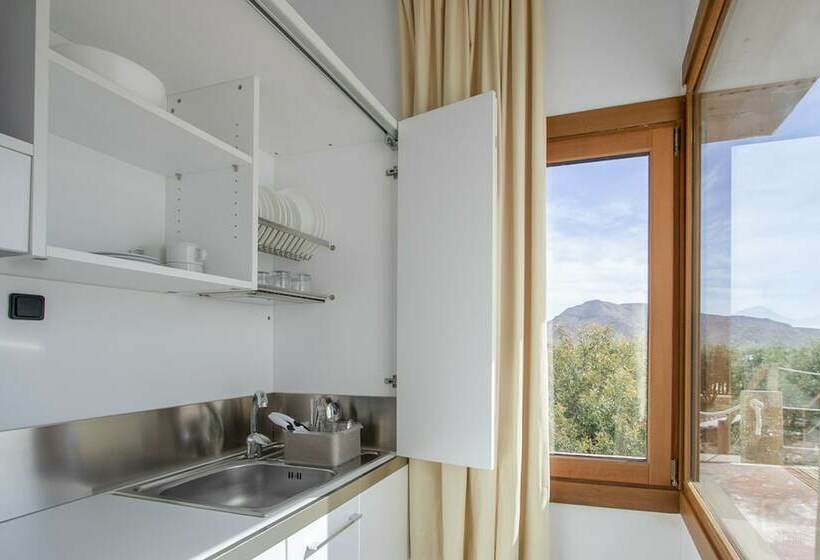 디럭스 스위트, Oro Y Luz