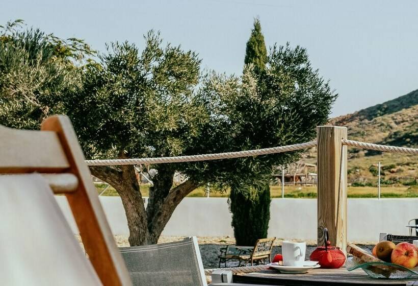 수피리어 스위트, Oro Y Luz