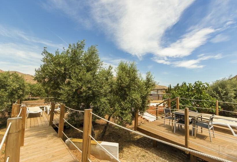 디럭스 스위트, Oro Y Luz