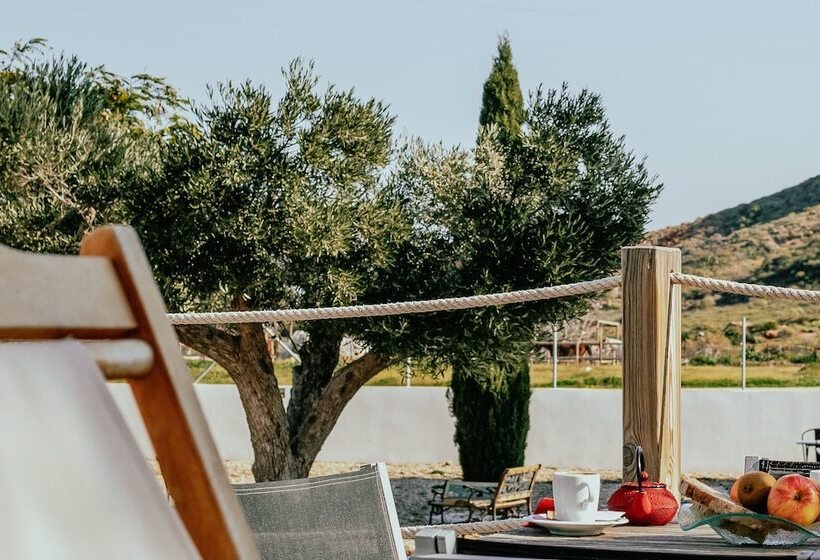 디럭스 스위트, Oro Y Luz