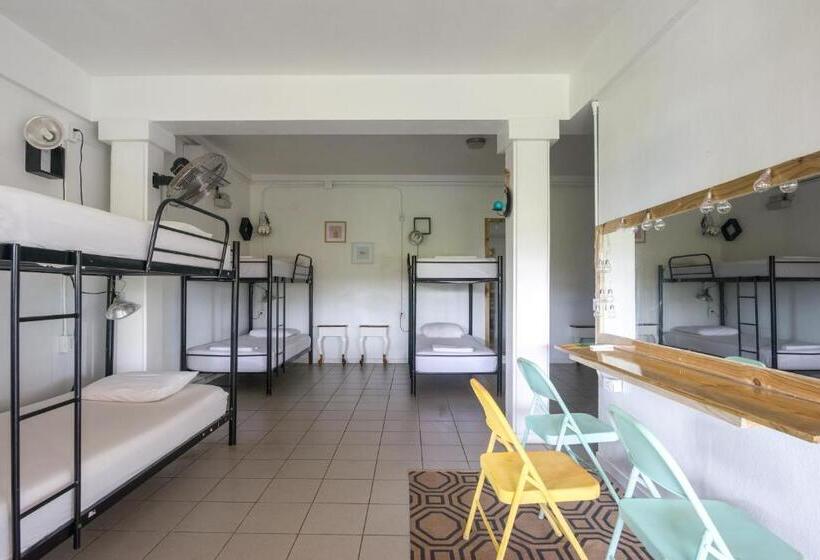 חדר סטנדרט, Selina Manuel Antonio   Hostel