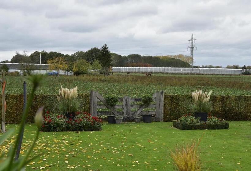 اتاق سوپریور با چشمانداز باغ, B&b De Rozenhorst