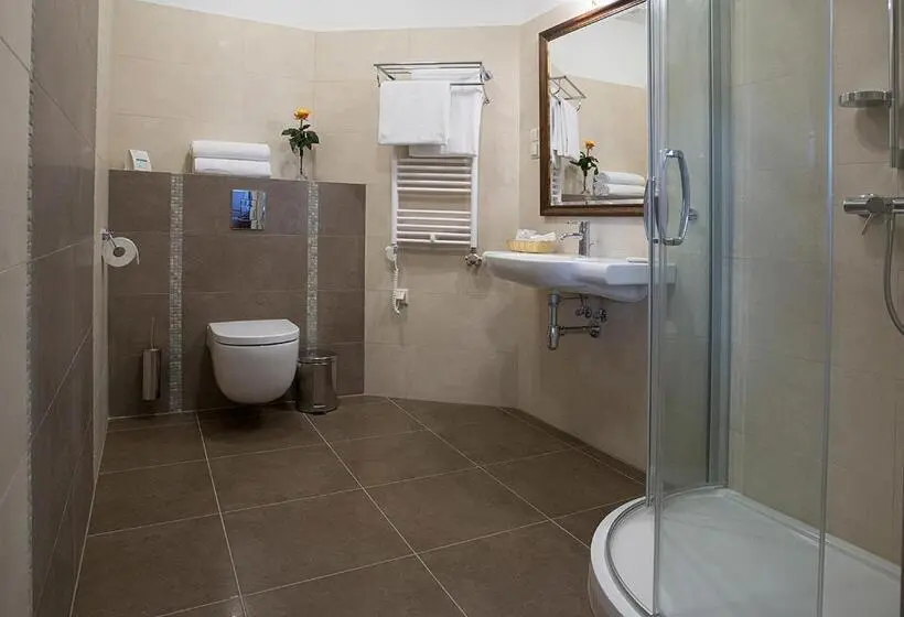 Deluxe-huone, Polanka Conference Center