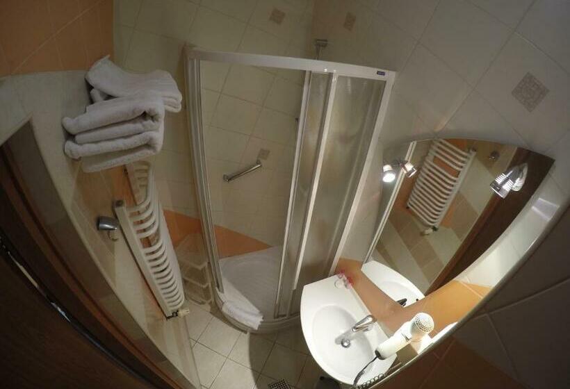 اتاق استاندارد یک نفره, Saol