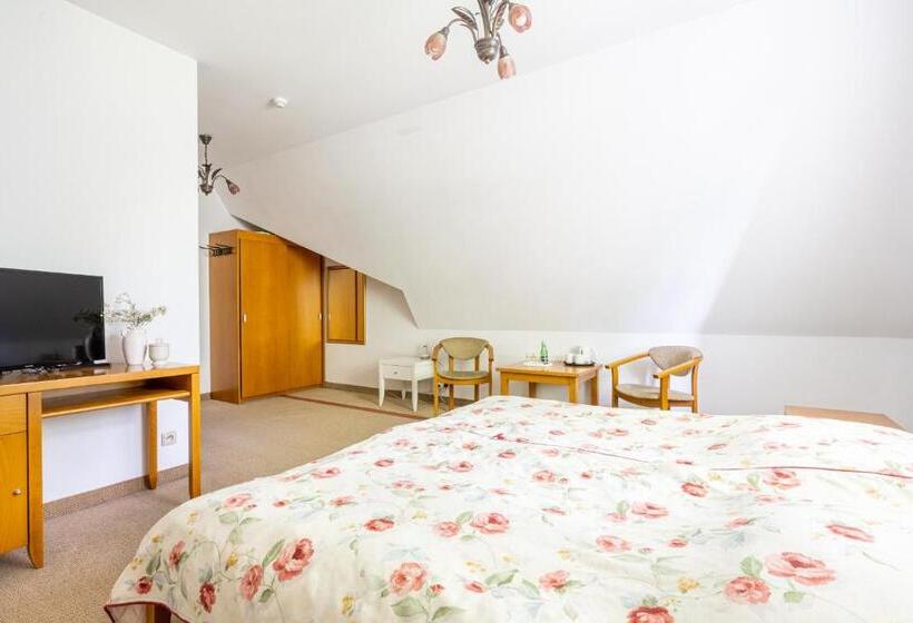 Номер Стандарт, Willa Bór