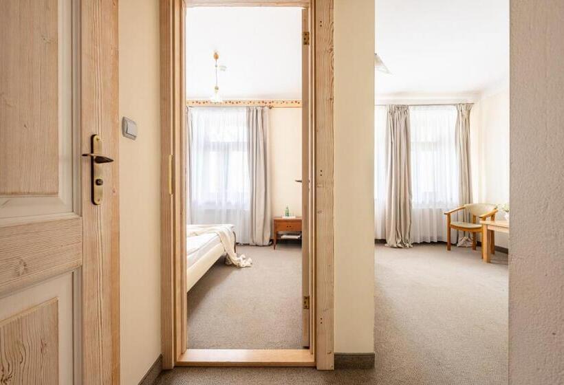 Номер Стандарт Трехместный, Willa Bór