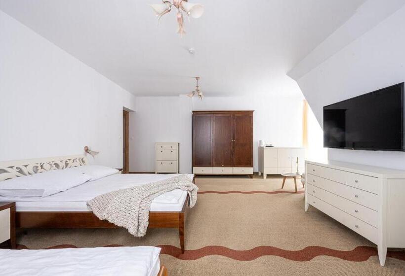 Трехместный Номер Стандарт Вид на Сад, Willa Bór