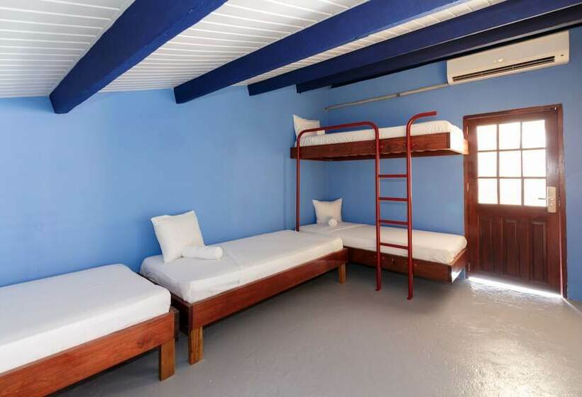 تختخواب در اتاق مشترک, The Ritz Hostel