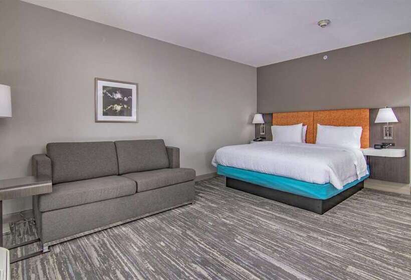 带大床的标准间, Hampton Inn & Suites By Hilton Warrington Horsham