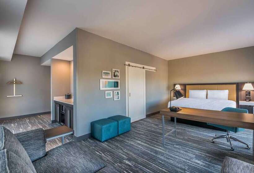 Студио Стандарт Кровать Кинг, Hampton Inn & Suites Tallahassee Capitol   University