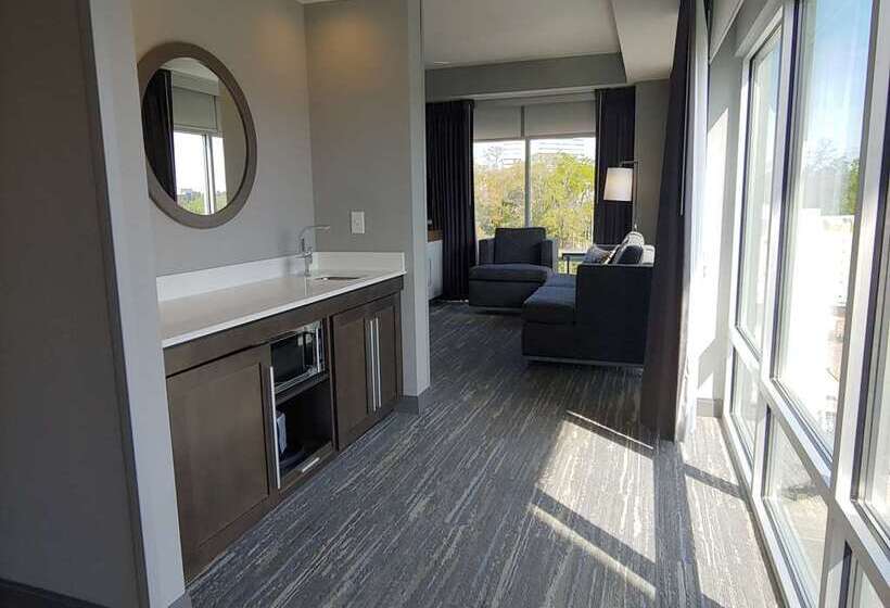 סטודיו סטנדרט, מיטה זוגית, Hampton Inn & Suites Tallahassee Capitol   University