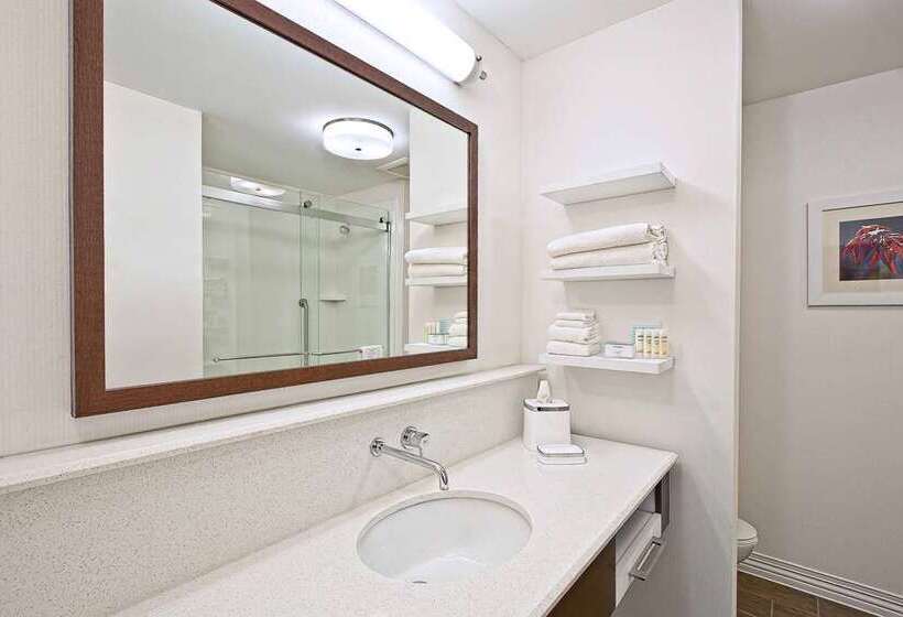 סטודיו סטנדרט, מיטה זוגית, Hampton Inn & Suites Tallahassee Capitol   University