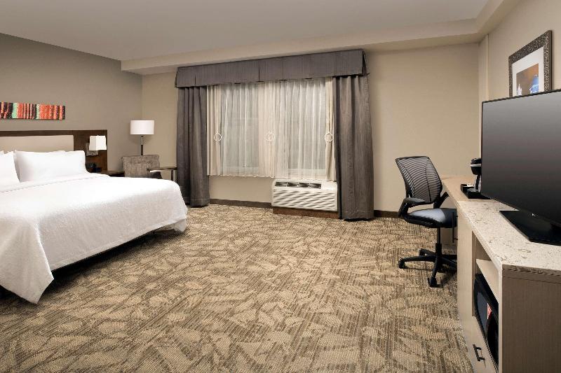 اتاق استاندارد با تخت بزرگ برای معلولان, Hilton Garden Inn San Antonio Downtown Riverwalk