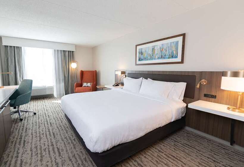 اتاق استاندارد با تخت بزرگ, Hilton Garden Inn San Antonio Downtown Riverwalk