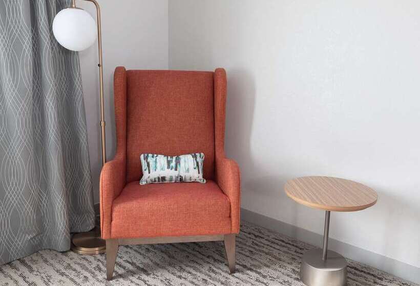 اتاق استاندارد با تخت بزرگ, Hilton Garden Inn San Antonio Downtown Riverwalk