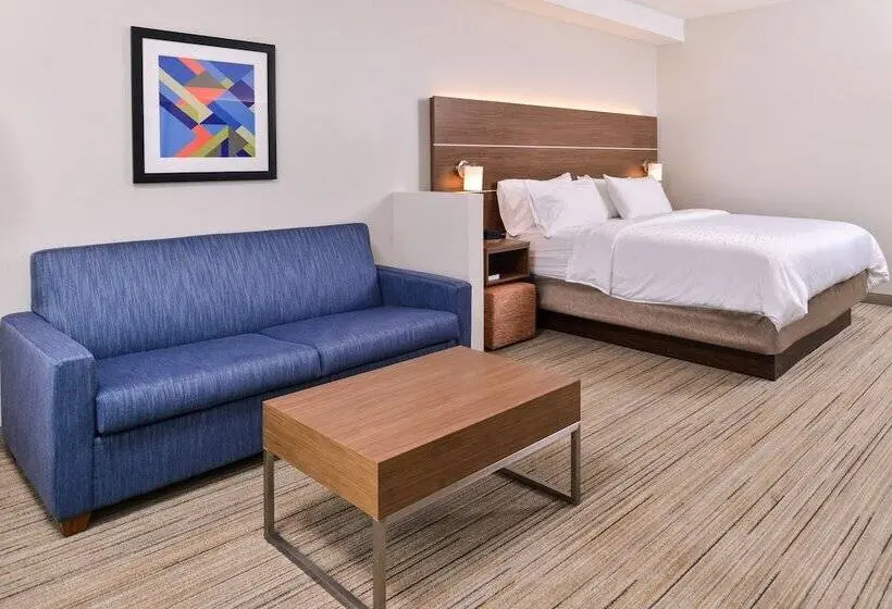 身障者適用スイートルーム, Holiday Inn Express & Suites Farmville, An Ihg