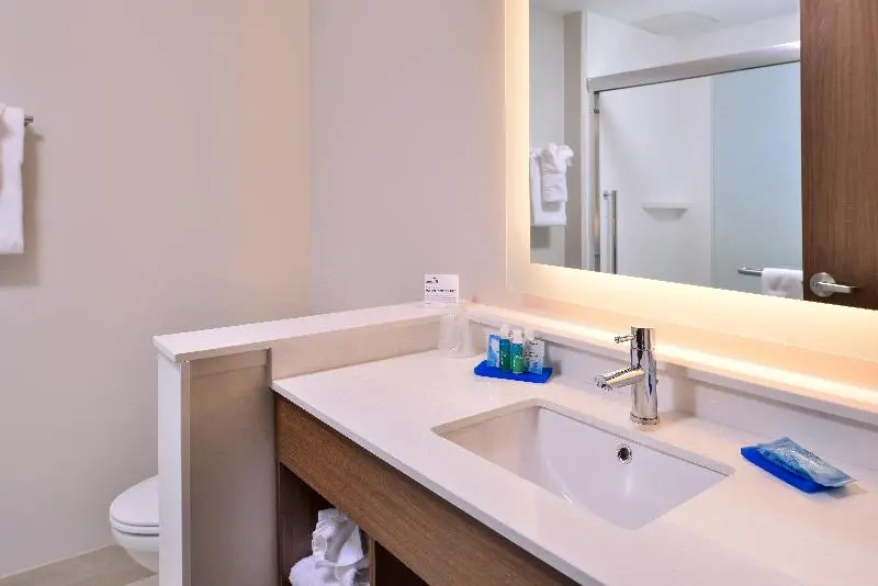 キングサイズベッドのスイートルーム, Holiday Inn Express & Suites Farmville, An Ihg