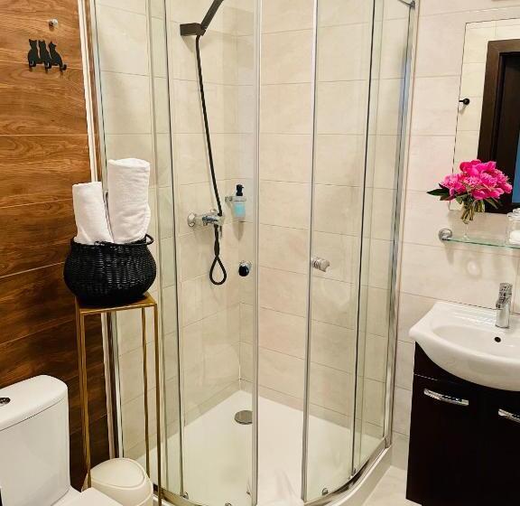 Номер Комфорт Индивидуальный, Piano