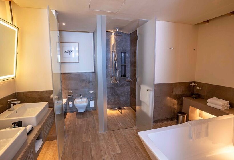 Номер Стандарт Вид на Море с Балконом, Saadiyat Rotana Resort And Villas