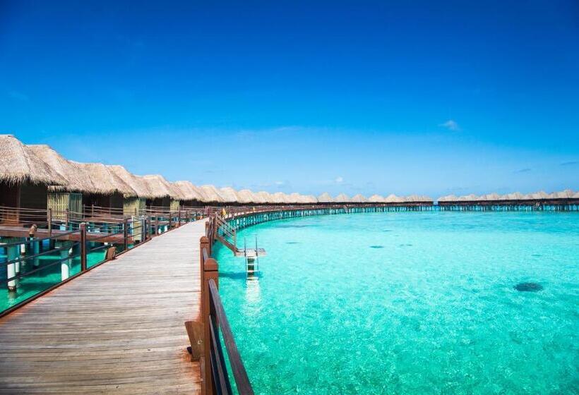 ویلای 1 خوابه, Sun Siyam Vilu Reef 24 Hour All Inclusive With Free Transfers