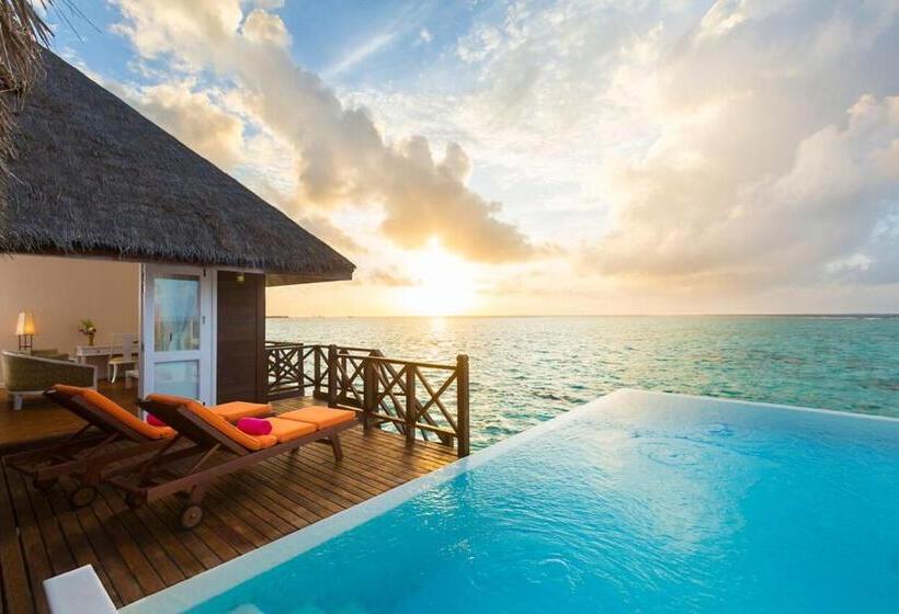 ویلای یک اتاق خوابه با استخر شنا, Sun Siyam Vilu Reef 24 Hour All Inclusive With Free Transfers